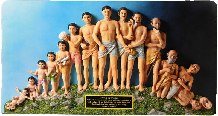 Changing Bodies Diorama (Reincarnation Explained)