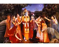 The Sweetness of Krishna