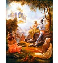 King Citraketu Offends the Goddess Parvati From His Vimana