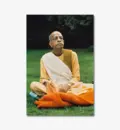 Prabhupada Sitting on Blanket on Grass Chanting Japa