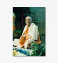 Prabhupada Smiling Sitting in Garden Chanting Japa