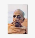 Srila Prabhupada Closeup Photo on Morning Walk