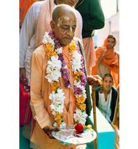 Prabhupada at Airport Holding Plate Covered with Silver Foil and Red Rose