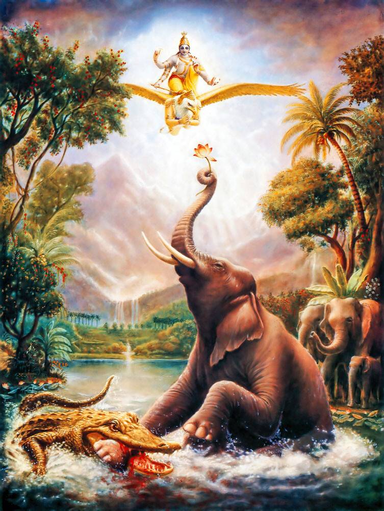 Gajendra the Elephant fights with a Crocodile