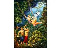 Krishna Enjoys Exultant Forest Pastimes