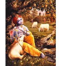 Krishna Plays His Flute Under a Mango Tree in Vrindavan