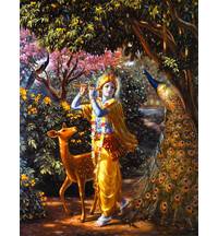 Lord Krishna – The Object of Meditation