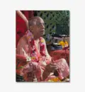 Srila Prabhupada on Pink Vyasasana