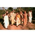 Srila Prabhupada and a Group of Devotees on a Morning Walk In India