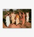 Srila Prabhupada and a Group of Devotees on a Morning Walk In India