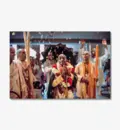 Devotees Throw Flower Petals at Srila Prabhupada in Temple