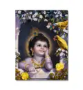 Baby Krishna with Parrots