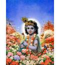 Krishna Amidst Flowers
