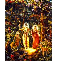 Sita Rama, Laksman in Forest Painting