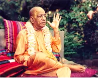 Srila Prabhupada in Detroit, Lecturing in Garden