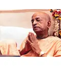 Srila Prabhupada in Vrindaban, Prayerful Mood