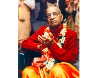 Srila Prabhupada in New York, Red Sweater