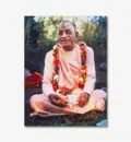 Srila Prabhupada in France, Holding a Marigold Flower