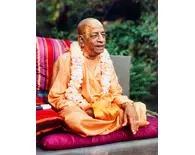 Srila Prabhupada in Detroit, Conversation in Garden