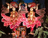 Sri Sri Gaura-Nitai - New Sankirtana Puri -  New Orleans, Louisiana