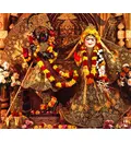 Sri Radha-Nila Madhava - Hare Krishna Dhama - Houston, TX