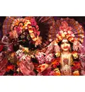 Sri Sri Radha Manohara - Sri Radha-Manohara Mandir Montreal, Canada