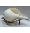 Conch Shell Stand -- Brass