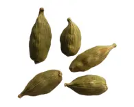 Cardamom -- Exotic Indian Spice