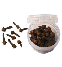 Cloves -- Exotic Indian Spice