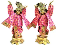 Gaura Nitai Deity Clothes -- Gradient Flowers Design