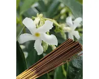 Jasmine Supreme Incense -- (225 gram pack)