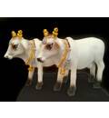 Standing Cows White 3\" size (Set of 2)