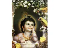 Krishna and Parrots Greeting Card Pack of 10