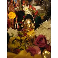 Wonderful Deities of SriKrishna and RadhaRani